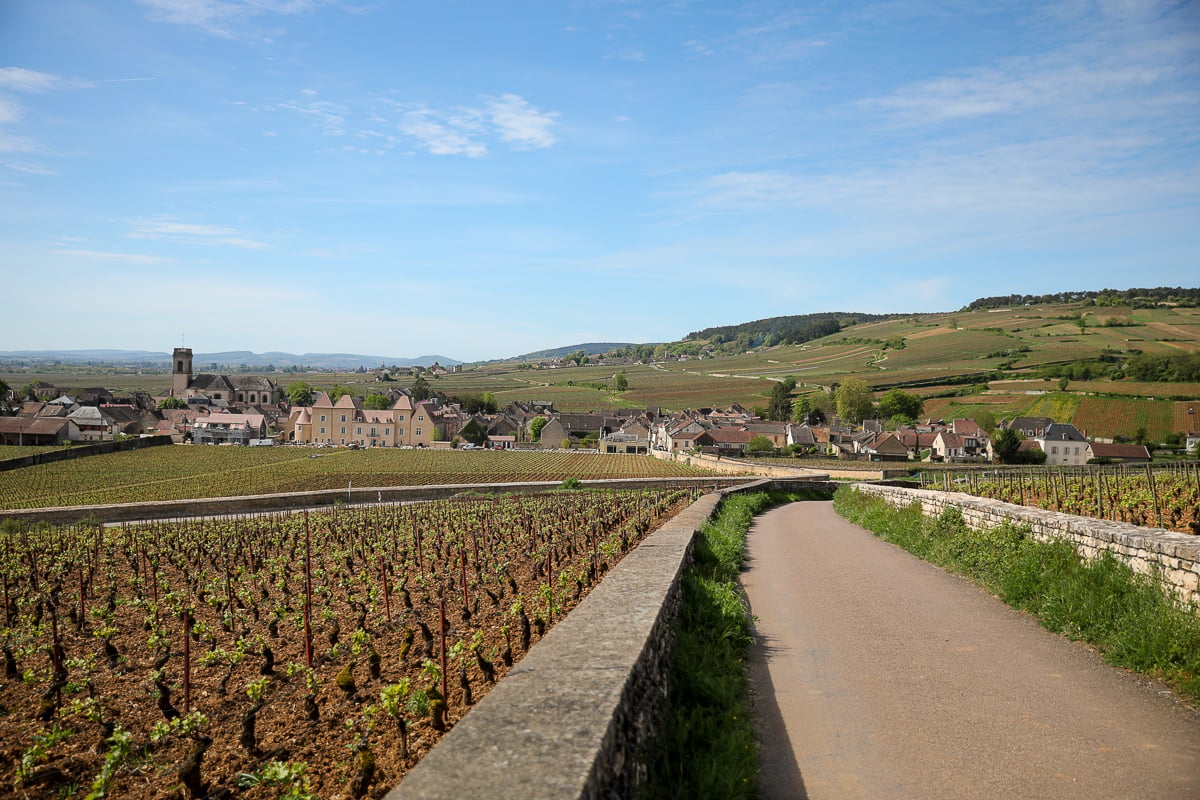 Bike trail winding through Côte d’Or vineyards toward a Burgundy wine village in France