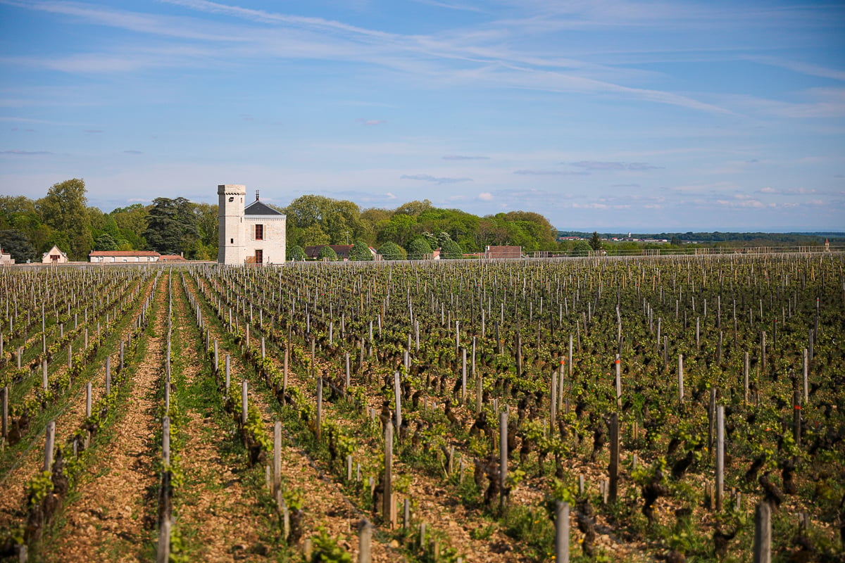 Rows of grapevines and a historic stone building in the Côte d’Or wine region of Burgundy, France