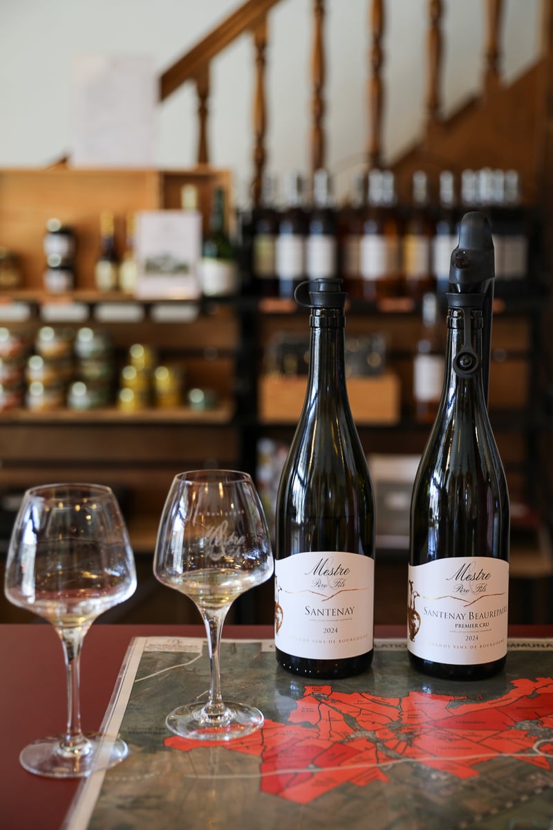 Santenay and Santenay Premier Cru Burgundy wines with tasting glasses in the Côte de Beaune