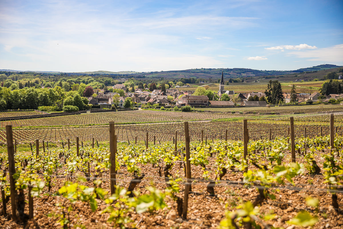 Burgundy wine village surrounded by vineyards in the scenic Côte de Beaune, France