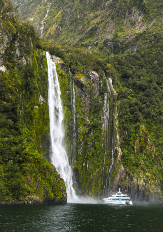 How to Visit Milford Sound: Best Tours and Cruises + Expert Tips
