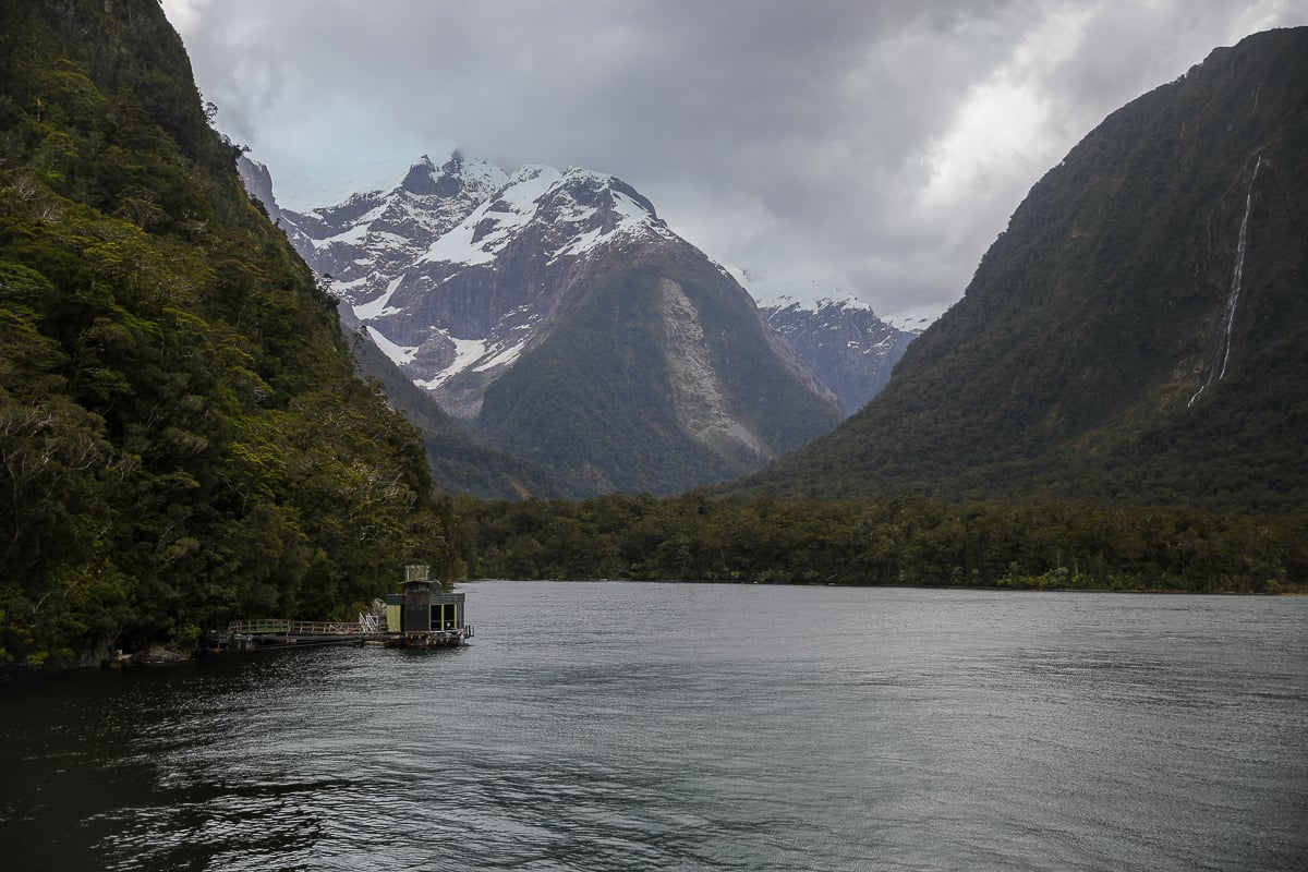 Snow-capped mountains rising above the dark waters and rainforest of Milford Sound