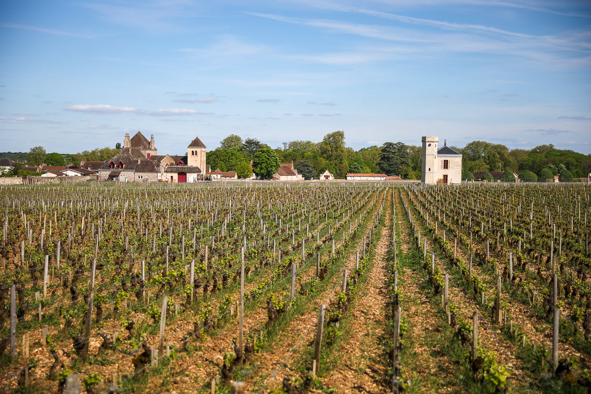 Neat rows of young vines in Burgundy, France, fill the foreground beneath a partly cloudy sky, with a cluster of historic stone buildings, including a château-like structure and tower, in the background.