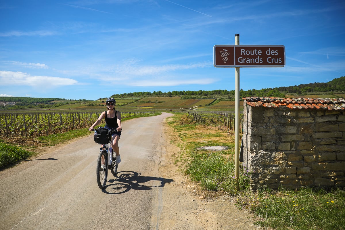 Cyclist riding beside vineyards on the Route des Grands Crus in Burgundy, France