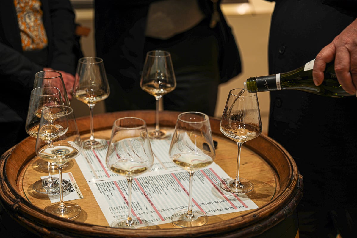 White Burgundy wine being poured during a guided wine tasting tour from Beaune, France