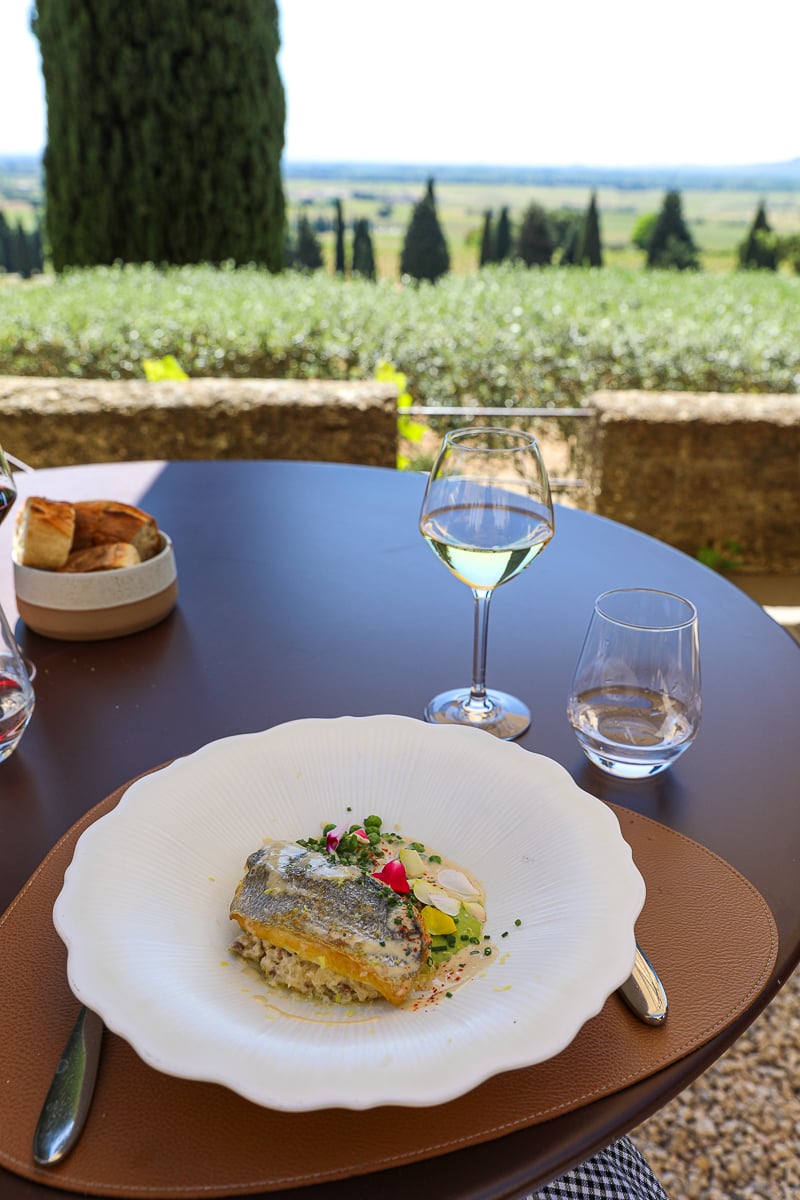 Sea bream lunch with white wine overlooking the vineyards at Château des Fines Roches