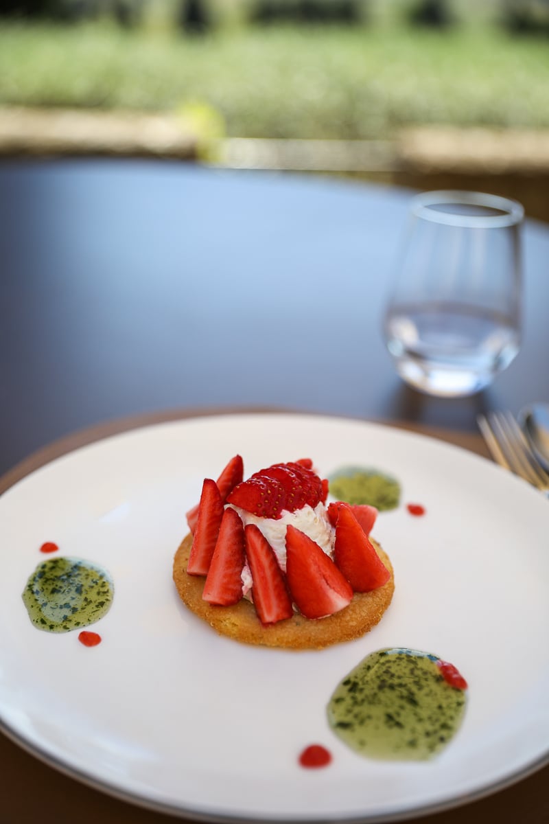 Strawberry tart dessert at Château des Fines Roches during a Châteauneuf-du-Pape wine tour