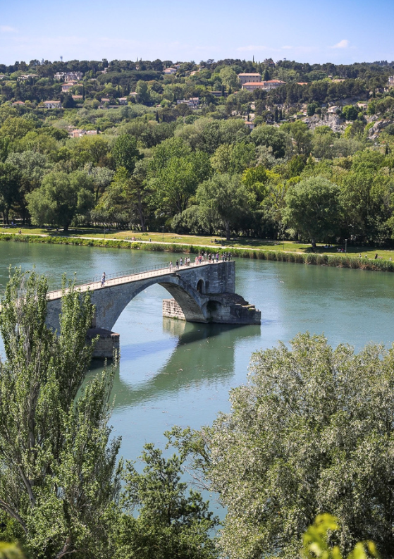 12 Best Things to Do in Avignon, France + Must-Know Tips