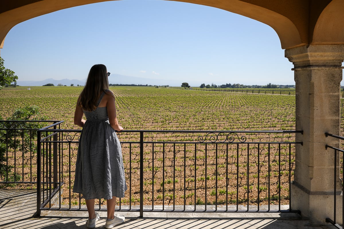 Terrace overlooking the vineyards at Château Mont-Redon during a Châteauneuf-du-Pape wine tour