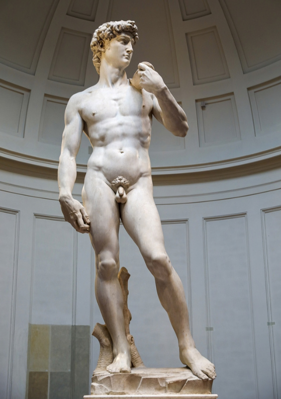 How to See Michelangelo’s David at Accademia Gallery, Florence
