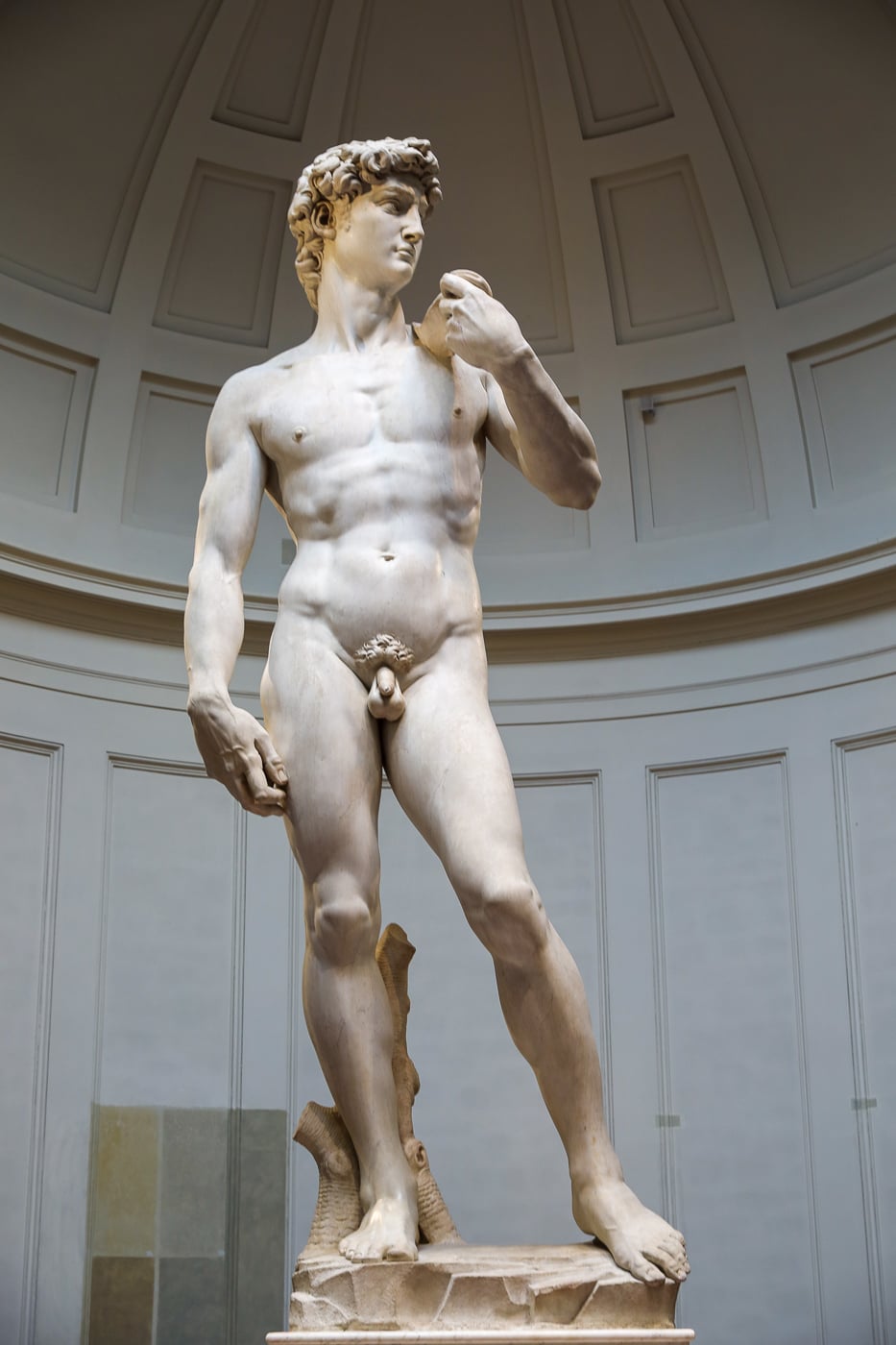 Close view of Michelangelo’s David showing the marble sculpture’s muscular torso and detailed anatomy inside the Accademia Gallery.