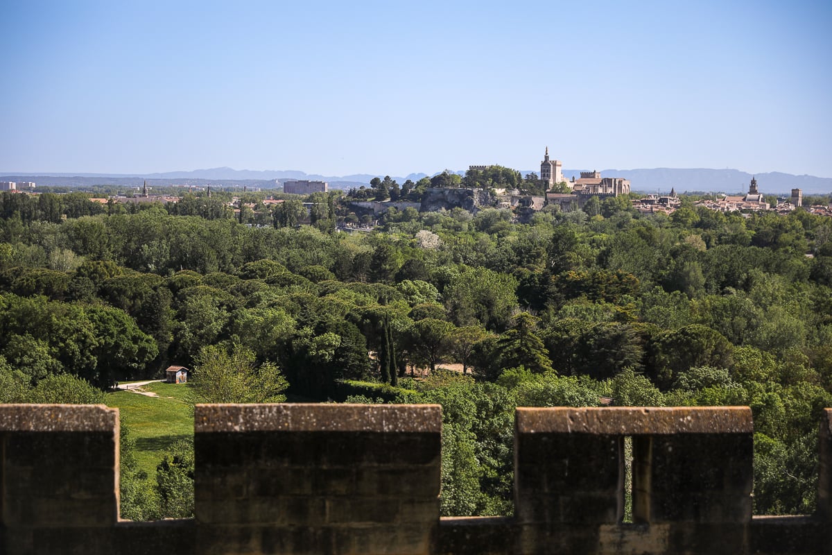 View of Avignon and the Palais des Papes from Abbaye Saint-André in Villeneuve-lès-Avignon